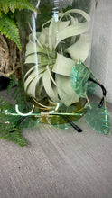 Load image into Gallery viewer, Monstunna’ Shades (Green)