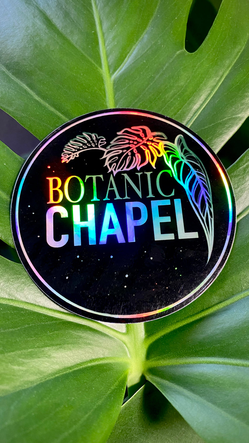 Botanic Chapel Sticker