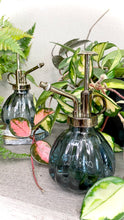 Load image into Gallery viewer, Glass Plant Mister (Gray)
